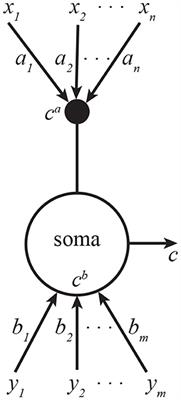 Neurons as Canonical Correlation Analyzers